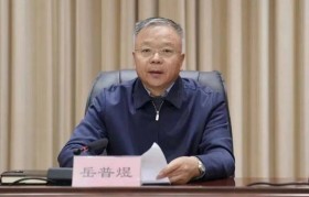 打虎！山西省人大常委会原副主任岳普煜，被查