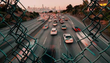 美媒：白宫新闻秘书莱维特侄子的母亲，被美国移民执法局拘捕